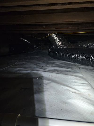 Crawl Space Encapsulation services