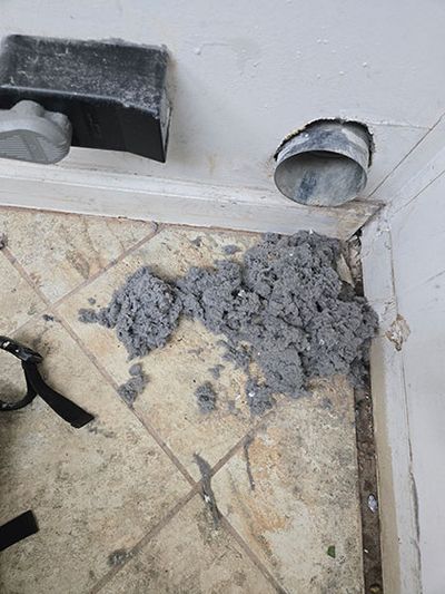 Duct & Dryer Vent Cleaning services