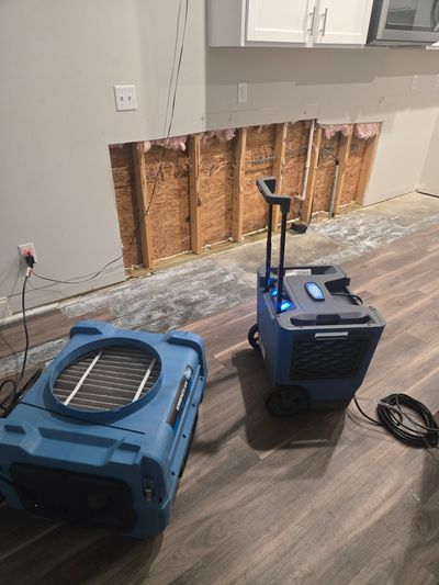 Simple Solutions restoration project